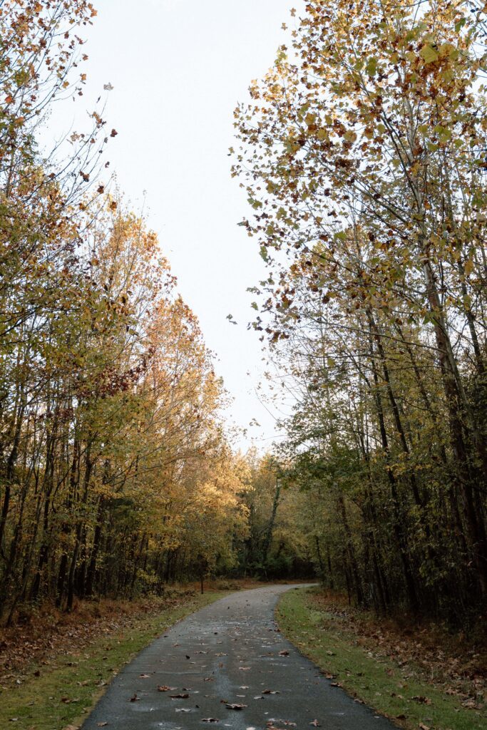 Landscape shot during fall engagement session at Shelby Bottoms Park in Nashville