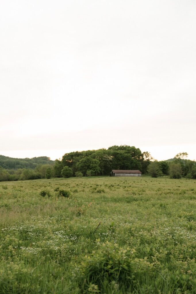 nashville engagement photo locations