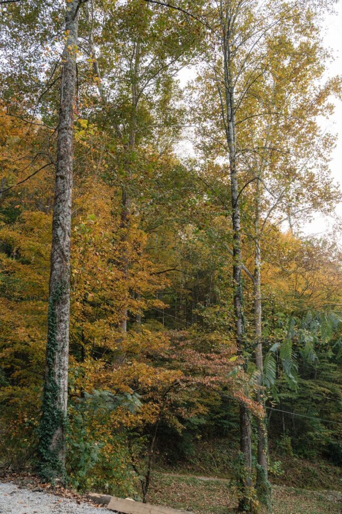 Smoky Mountain elopement locations panoramic mountain views