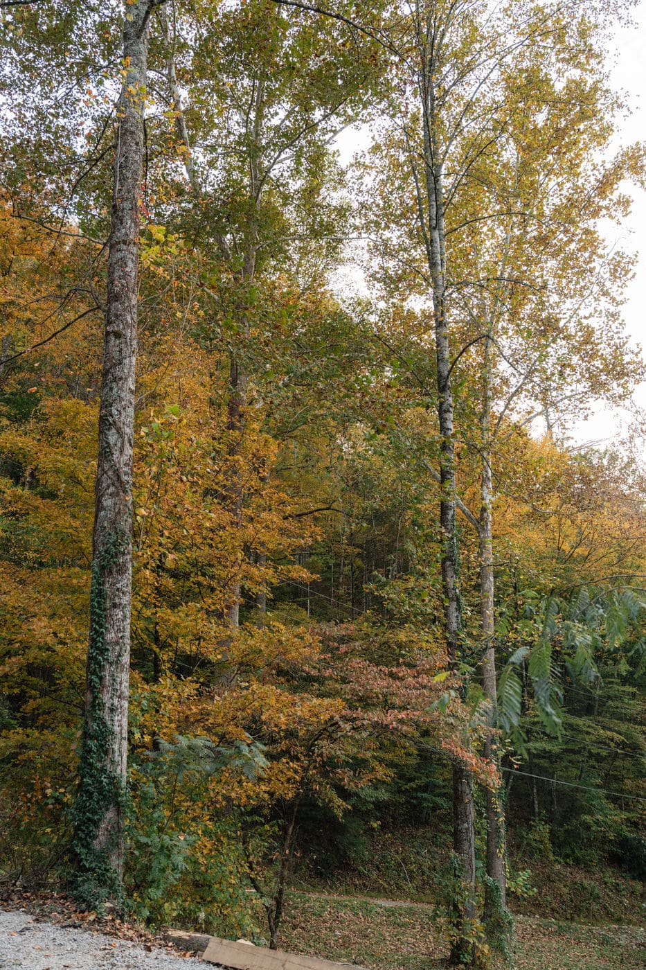 smoky mountain wedding photographer