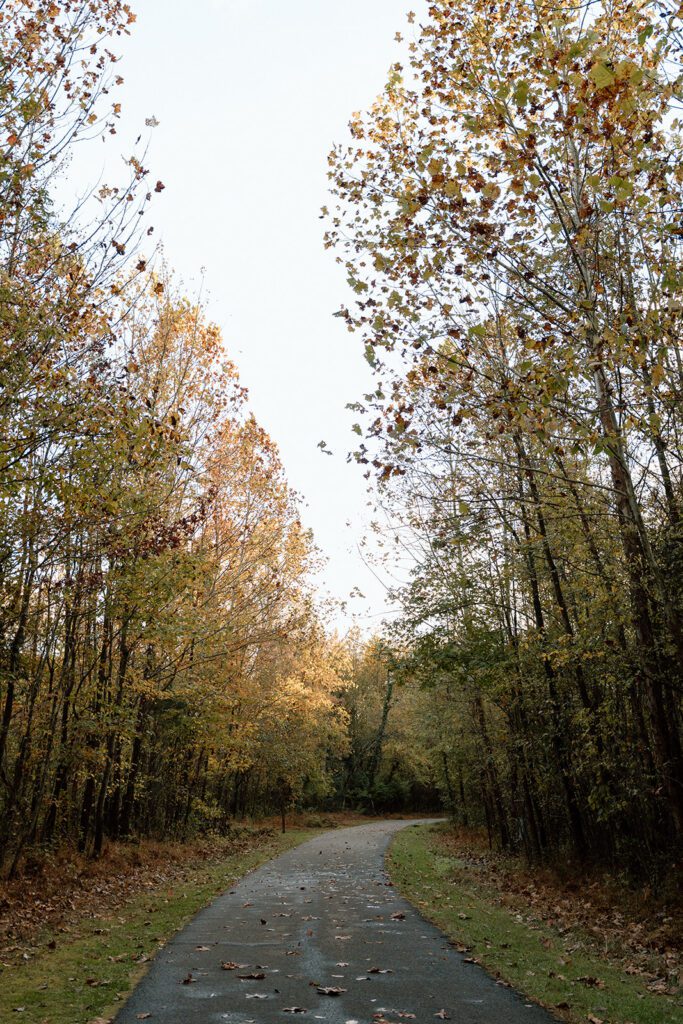 smoky mountain wedding planning guide for tennessee mountain weddings