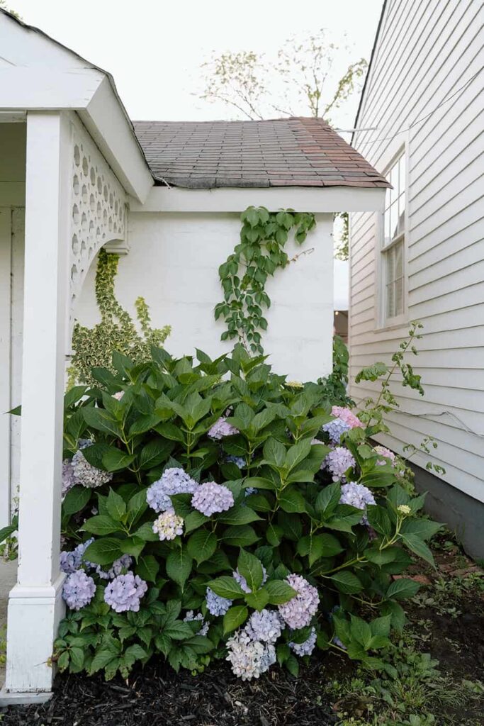 eader house venue in tennessee