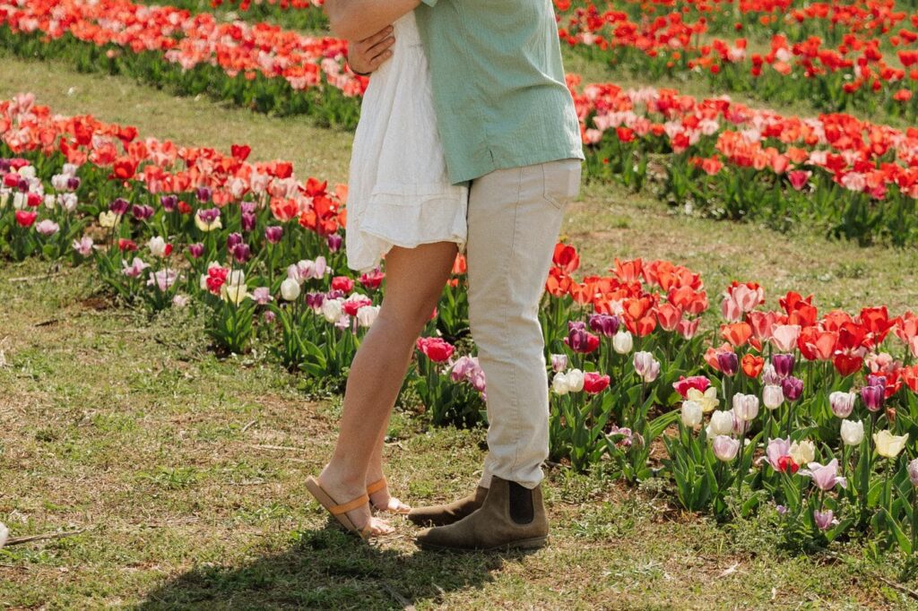 couple hugging at tulip farm