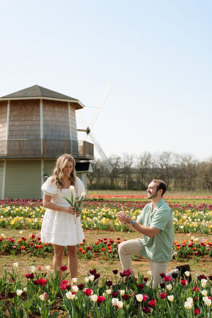 proposal at a tulip farm in nashville tennessee