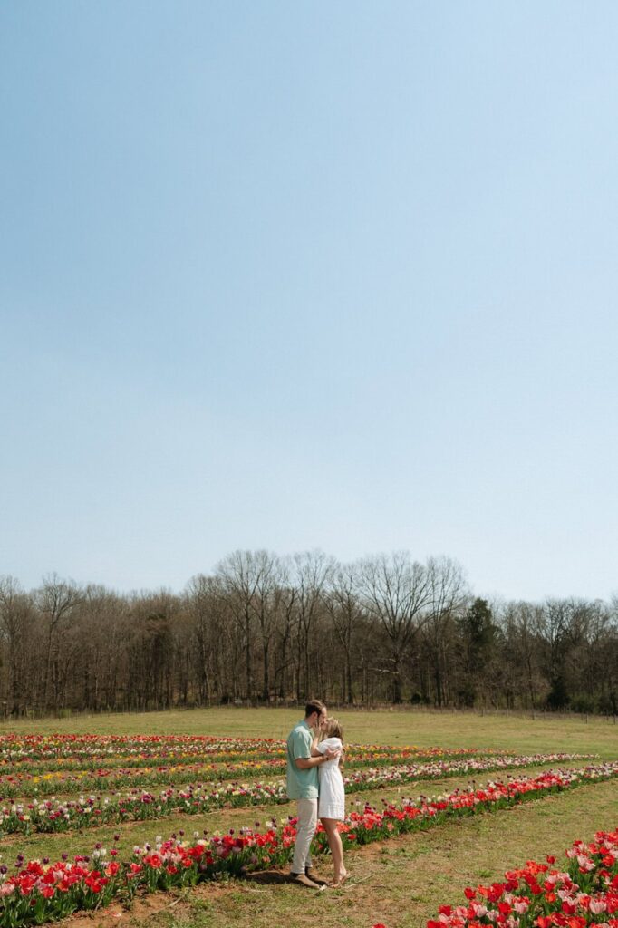 couple standing in the middle of tulip farm during spring engagement session