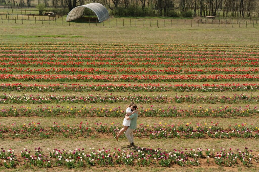 wide shot of couple embracing in the middle of a flower farm in nashville