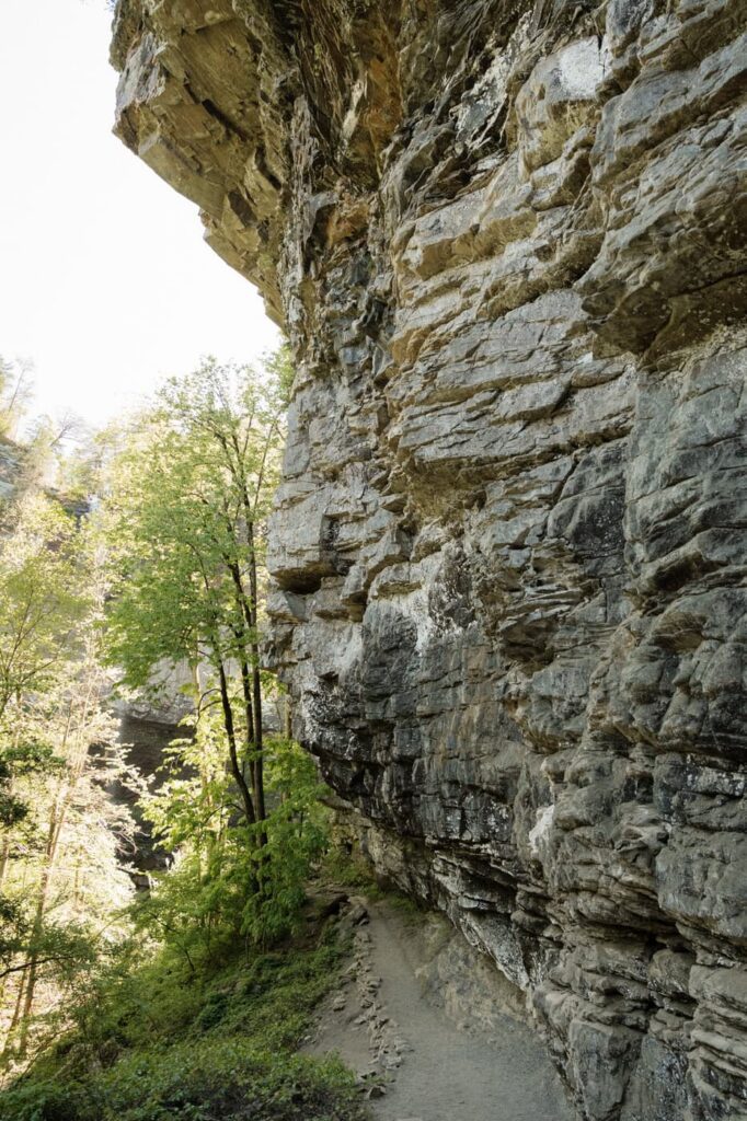 the hike to the base of fall creek falls