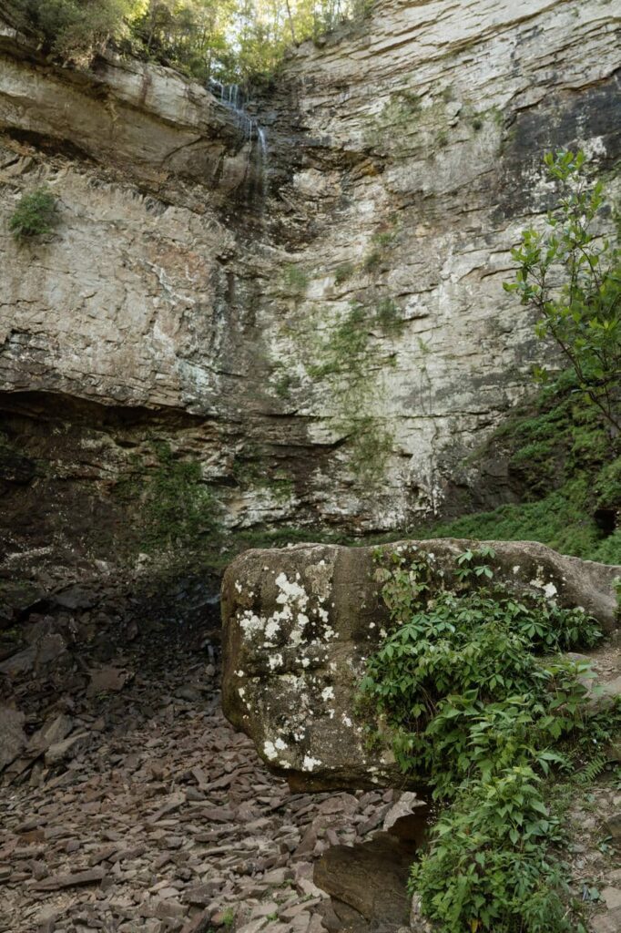 foliage and rocks at the waterfalls in fall creek falls state park