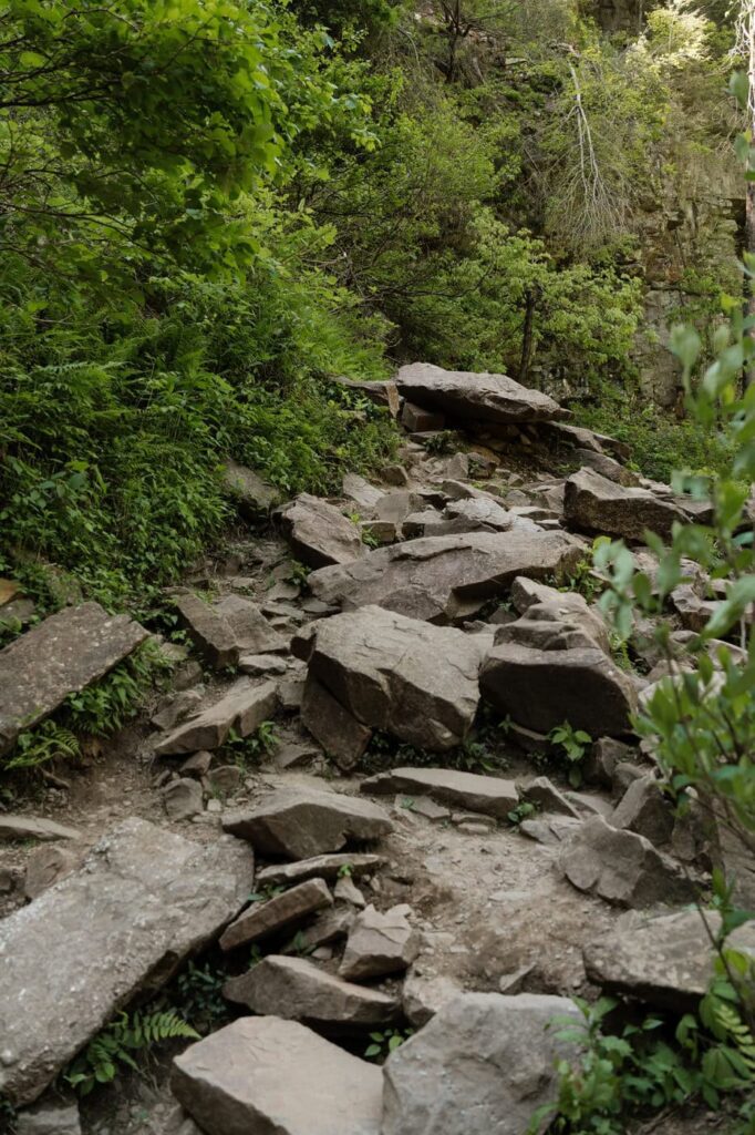 rocks on the trail at fall creek falls state park