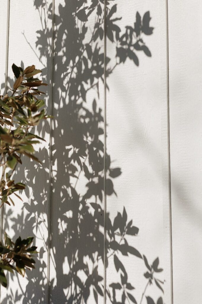 shadows on the venue's exterior