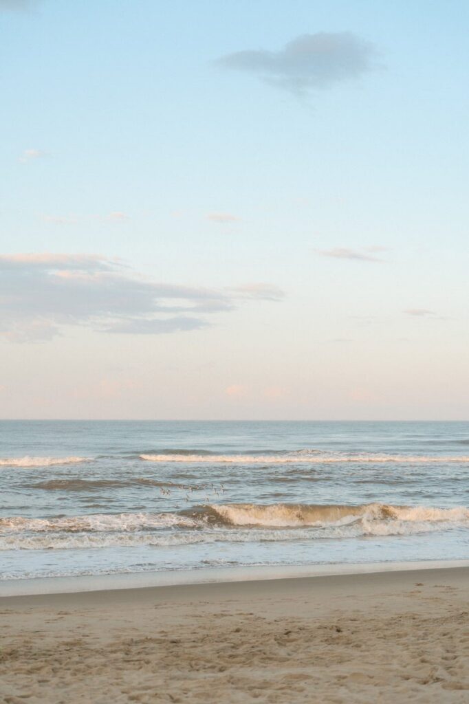 birds flying above the ocean at back bay wildlife refuge in virginia beach
