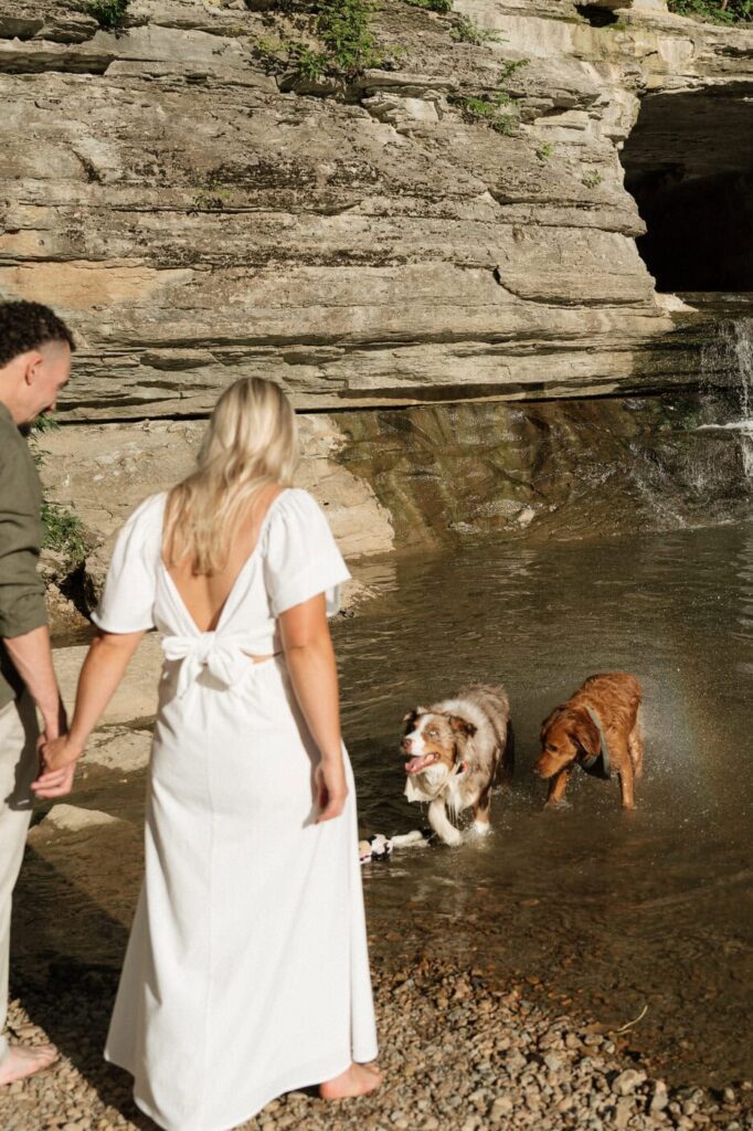 couple holding hands and walking with their dogs at harpeth river state park